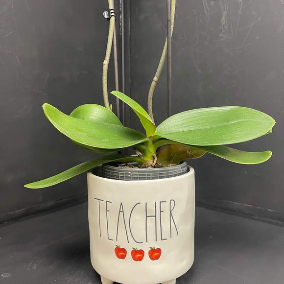 Rae Dunn Planter / pot - Picture 2 of 7